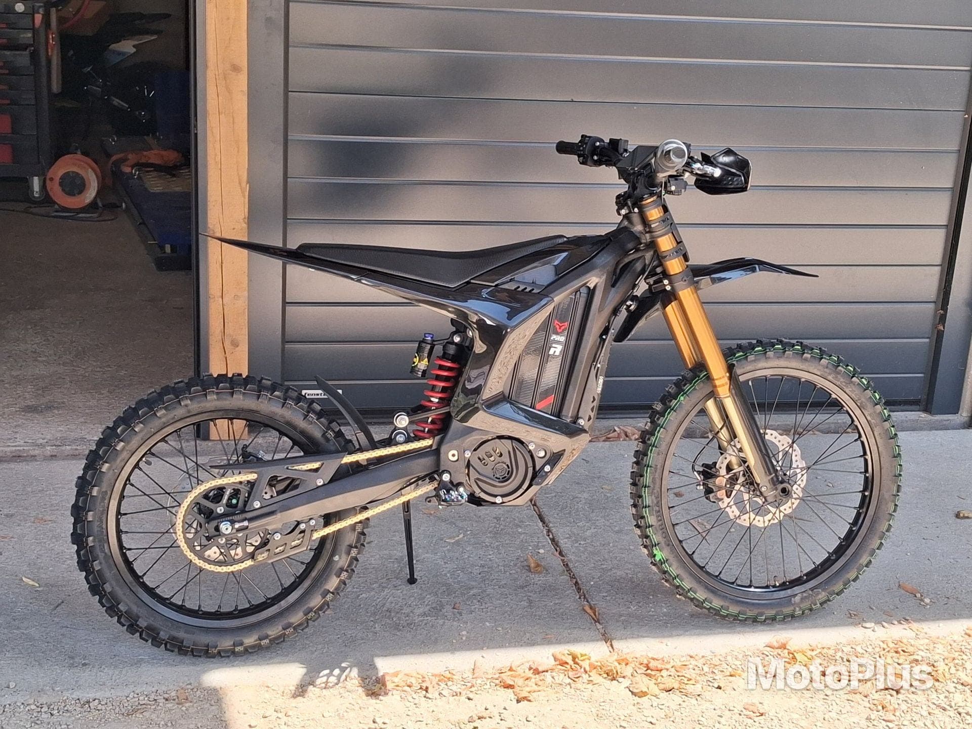 Arctic leopard Xe Pro R